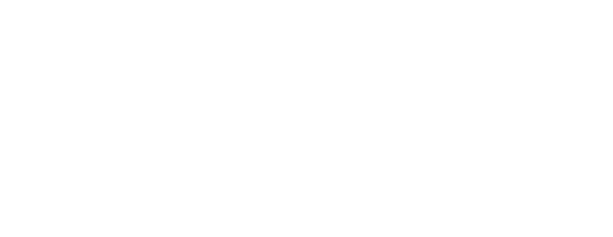 N-Logo-Branco-Sem-txt.png